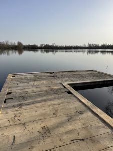 image00006