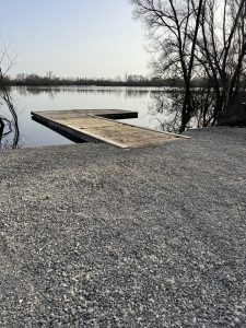 image00008